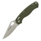 Купить Нож складной Ganzo G729-GR зеленый