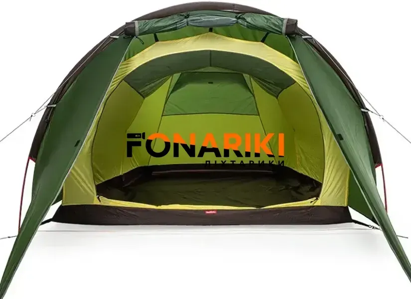 Палатка Naturehike Cloud Tunnel 2 NH20ZP006 ц:dark green
