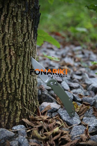 Ніж складаний Ganzo G7531-GR