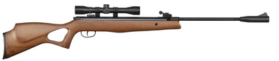 Гвинтівка пневматична Beeman Hound GR c ОП 4х32