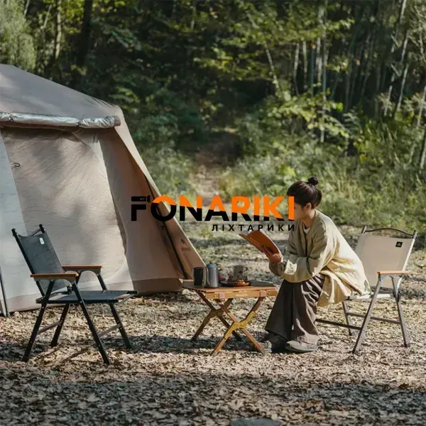 Крісло Naturehike CNK2550JJ010 Beige