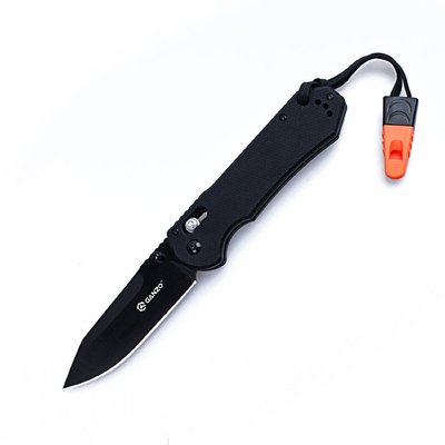 Нож складной Ganzo G7453-BK-WS