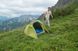 Намет Vango Soul 100 Treetops (TERSOUL T15077)