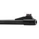 Воздушка Gamo Big Cat 1000-E Barricade Combo (4.5мм)