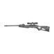 Воздушка Gamo Swarm Fox 10x Gen1 (4.5мм)
