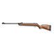 Воздушка Gamo Big Cat Hunter (4.5мм)